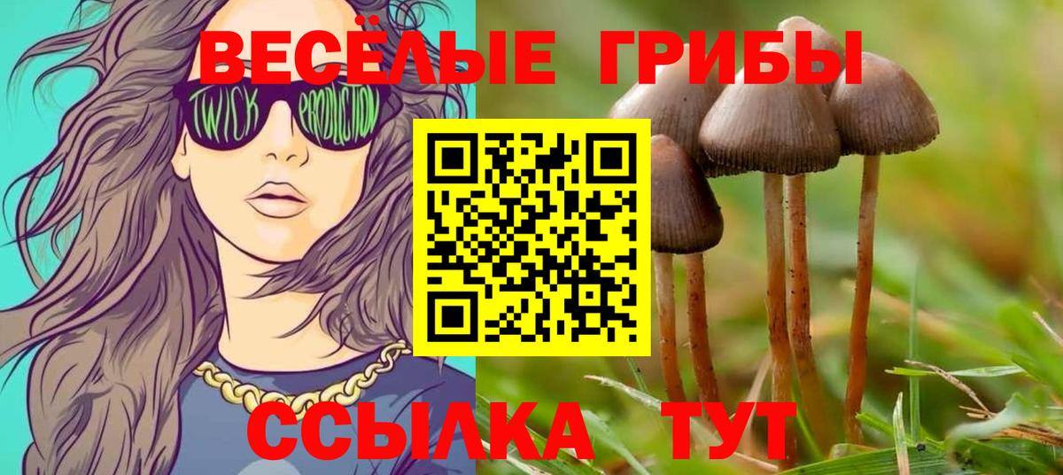 Первоуральск  Псилоцибиновые грибы Psilocybine cubensis  Вход с VPN 